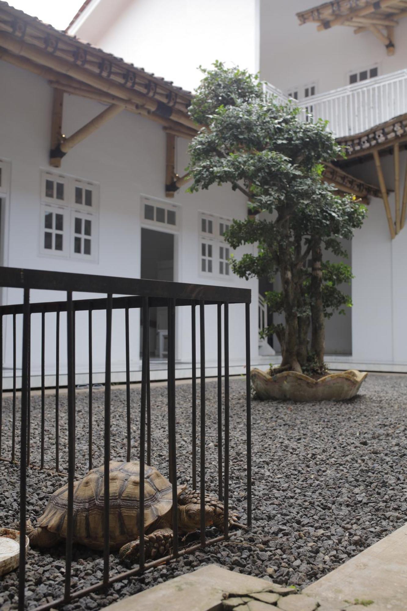 Cozy Corner House Banyuwangi (East Java)